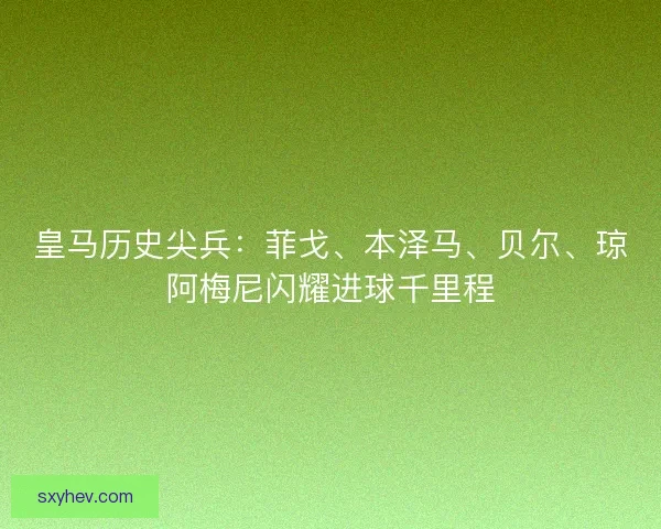 皇马历史尖兵：菲戈、本泽马、贝尔、琼阿梅尼闪耀进球千里程