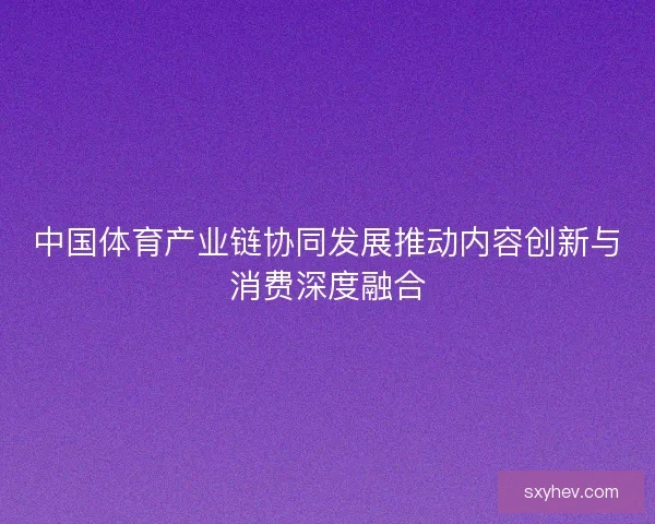 中国体育产业链协同发展推动内容创新与消费深度融合